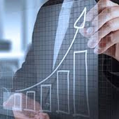 Management Services